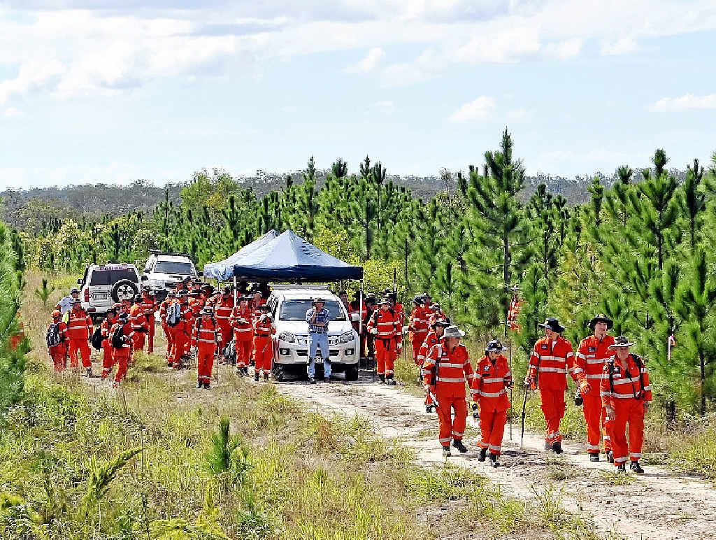 SKULL SEARCH TWO: Inspector Brett Long and SES volunteers sweep the Toolara State Forestry near Tin Can Bay yesterday. SKULL SEARCH TWO: Inspector Brett Long and SES volunteers sweep the Toolara State Forestry near Tin Can Bay yesterday.