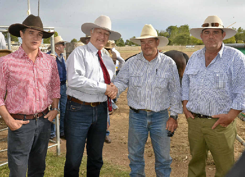 WELCOME: Robbie Katter, KAP leader Bob Katter, Allora campdraft president Glenn Evans and Talgai Homestead manager Simon Damman. WELCOME: Robbie Katter, KAP leader Bob Katter, Allora campdraft president Glenn Evans and Talgai Homestead manager Simon Damman.