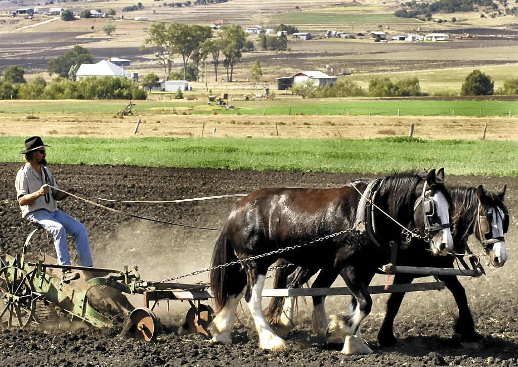 Mick Bradford’s heavy horse day is on again this Sunday May 4. Mick Bradford’s heavy horse day is on again this Sunday May 4.
