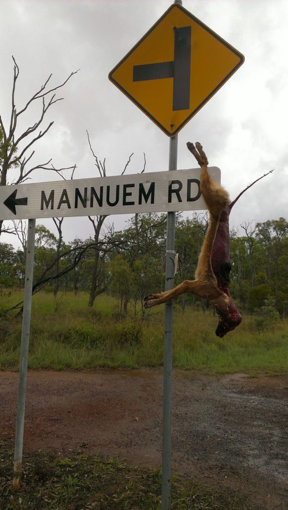 UGLY SHOW: This dog was found hanging from a street sign by two horrified Murgon women. UGLY SHOW: This dog was found hanging from a street sign by two horrified Murgon women.