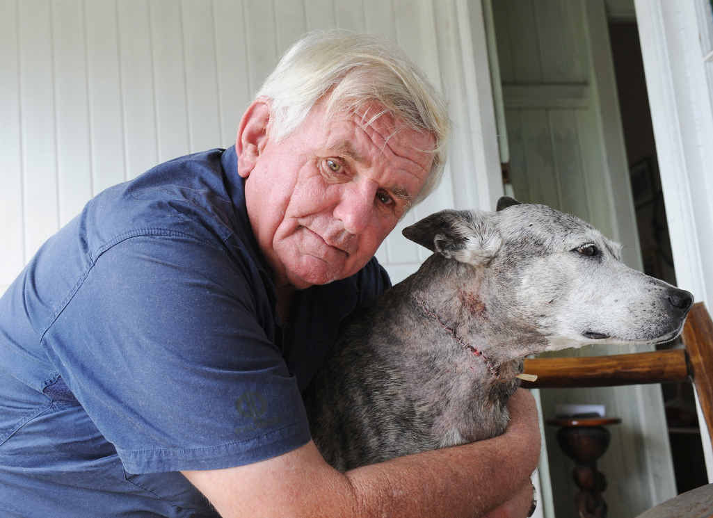 Chicka Derwent's 14-year-old dog Missy was savagely attacked while on the lead during a regular afternoon walk at Prickett Park in Maryborough. Chicka Derwent's 14-year-old dog Missy was savagely attacked while on the lead during a regular afternoon walk at Prickett Park in Maryborough.