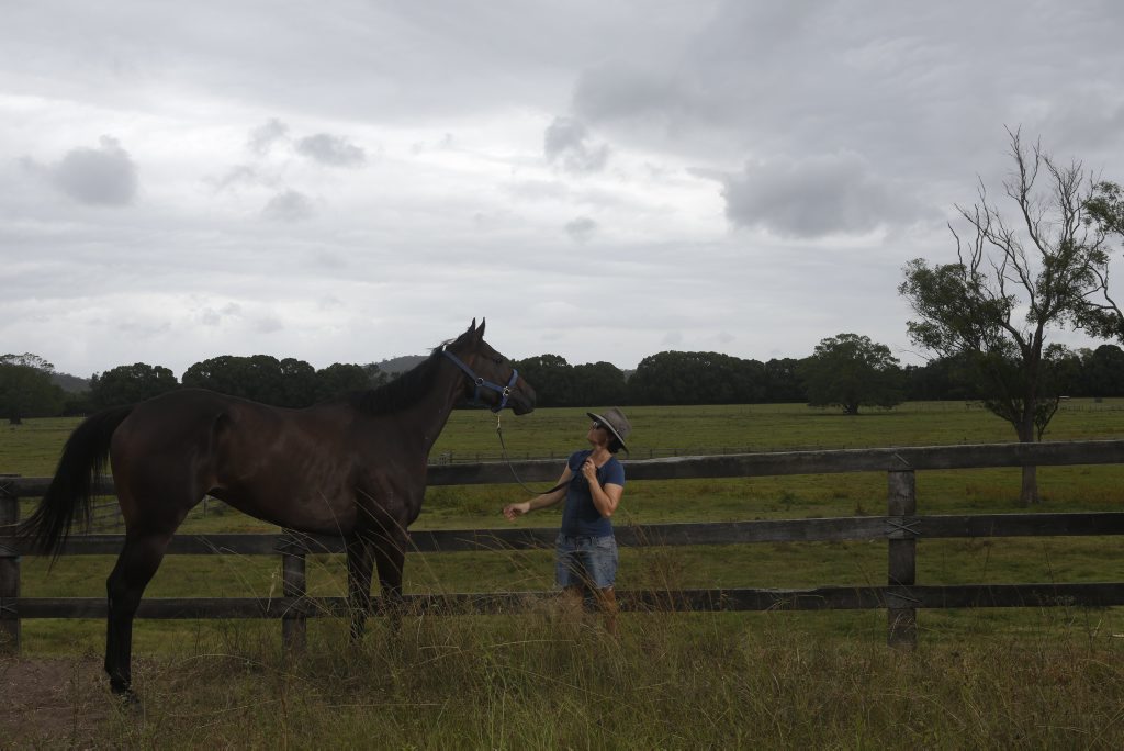 GOOD CHANCE: Diana Ball with the Felicity Firth trained Primed To Win who is lining up today at Grafton. Photo Adam Hourigan GOOD CHANCE: Diana Ball with the Felicity Firth trained Primed To Win who is lining up today at Grafton. Photo Adam Hourigan