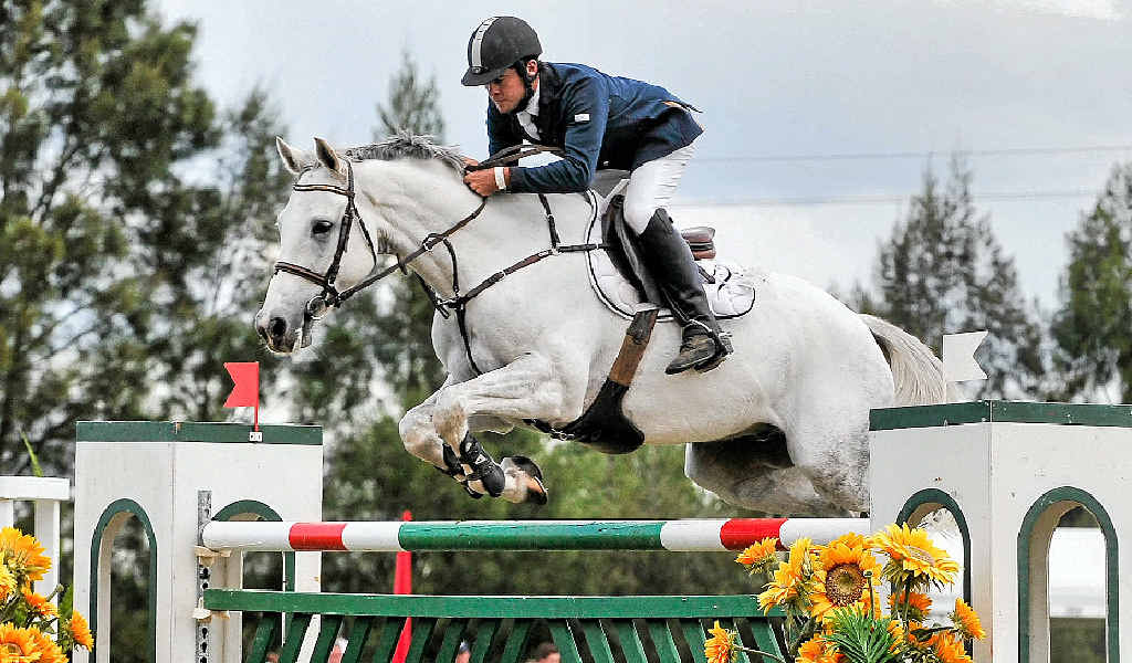 RIDING HIGH: David Goodwin rides Warrego Jericho in the first round of the Gold Grand Prix at Show Case of Jumping last year at North Richmond, NSW. RIDING HIGH: David Goodwin rides Warrego Jericho in the first round of the Gold Grand Prix at Show Case of Jumping last year at North Richmond, NSW.