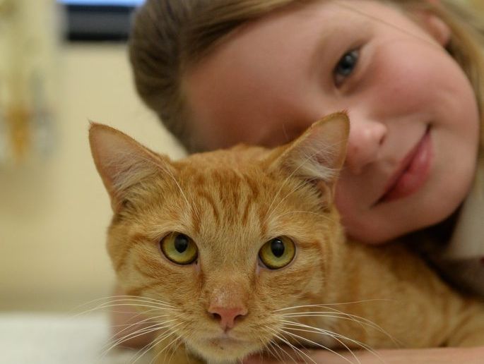 LUCKY CAT: Ebony Smith has sold all her toys to raise money for her cat Tiger's surgery. Photo: Mike Knott / NewsMail LUCKY CAT: Ebony Smith has sold all her toys to raise money for her cat Tiger's surgery. Photo: Mike Knott / NewsMail