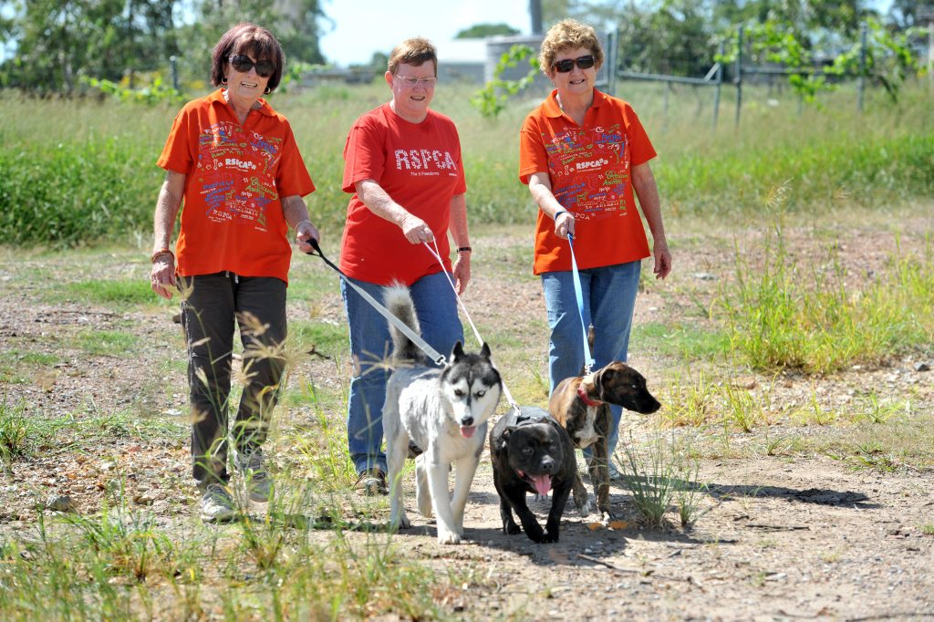 PUPPY STRUT: Meeka walks with Jan Bairnes, Xanda with Corinne Hayter and Leah with Fay Jackson in anticpation for Million Paws Walk in May. PUPPY STRUT: Meeka walks with Jan Bairnes, Xanda with Corinne Hayter and Leah with Fay Jackson in anticpation for Million Paws Walk in May.