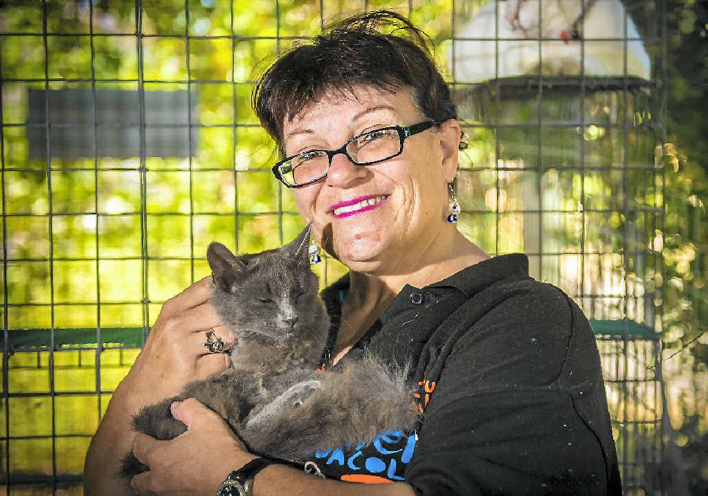 FURRY FRIEND: Anita Coad, of Friends of the RSPCA, with one of the cats available for adoption. FURRY FRIEND: Anita Coad, of Friends of the RSPCA, with one of the cats available for adoption.