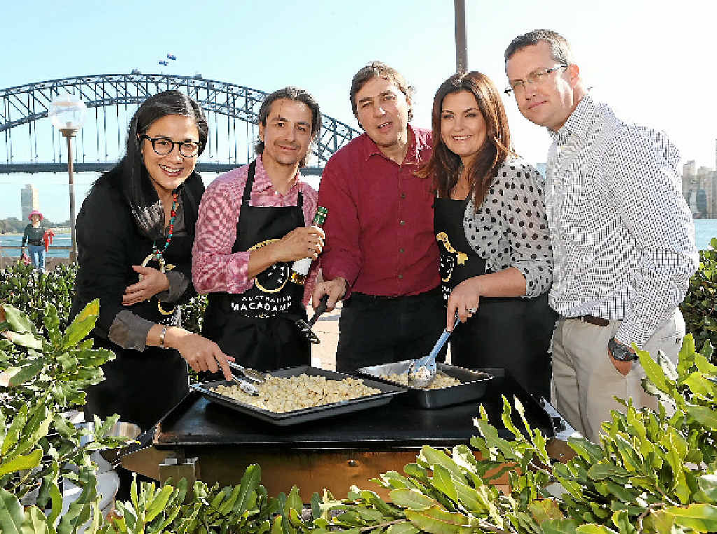 TASTE TEST: Celebrity chefs Kylie Kwong, Giovanni Pilu, Karen Martini with Peter Zadro and Scott Allcott roast macadamias at the Sydney Opera House. TASTE TEST: Celebrity chefs Kylie Kwong, Giovanni Pilu, Karen Martini with Peter Zadro and Scott Allcott roast macadamias at the Sydney Opera House.