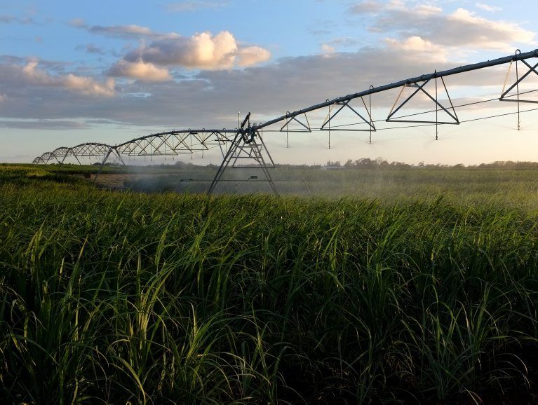 Some farmers are choosing not to irrigate their crops because they can't afford the electricity for the pumps. Some farmers are choosing not to irrigate their crops because they can't afford the electricity for the pumps.