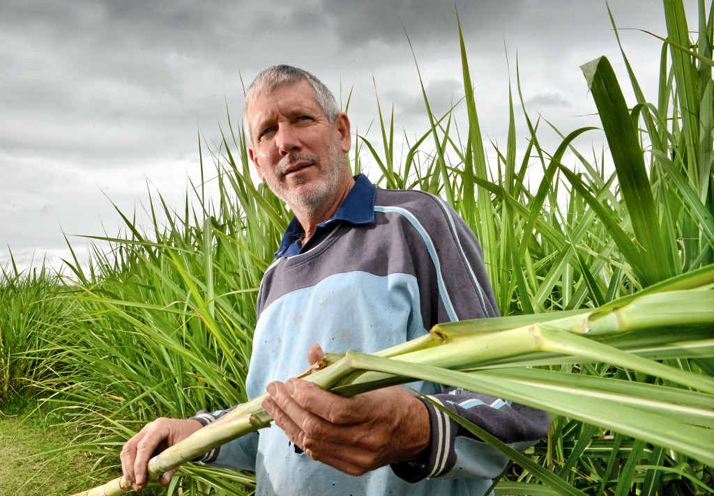 POWERING ON: Food and fibre producers are behind a push to get State Government to lower electricity tariffs.
POWERING ON: Food and fibre producers are behind a push to get State Government to lower electricity tariffs.