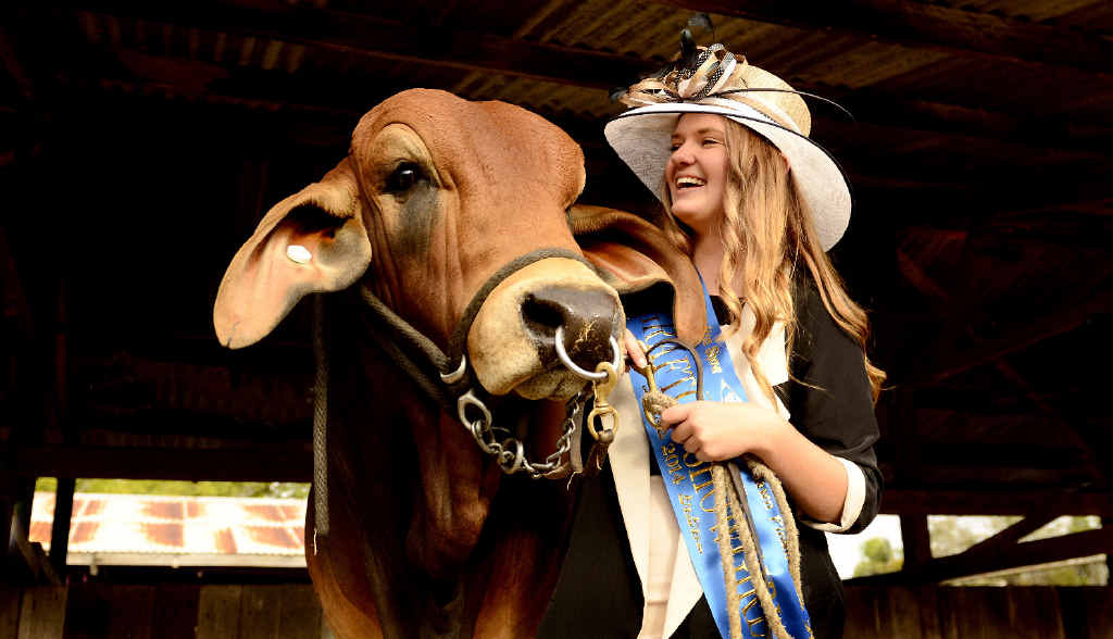 WINNERS: 2014 Grafton Showgirl The Daily Examiner photo-journalist JoJo Newby alongside another supreme champion Bos Indicus male ‘Bizzy Beau’. Photo: Debrah Novak WINNERS: 2014 Grafton Showgirl The Daily Examiner photo-journalist JoJo Newby alongside another supreme champion Bos Indicus male ‘Bizzy Beau’. Photo: Debrah Novak