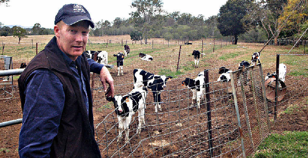 FANTASTIC: Sexton producer and Dairy Farmers Milk Co-operative director Andrew Burnett is delighted with the new co-op. FANTASTIC: Sexton producer and Dairy Farmers Milk Co-operative director Andrew Burnett is delighted with the new co-op.