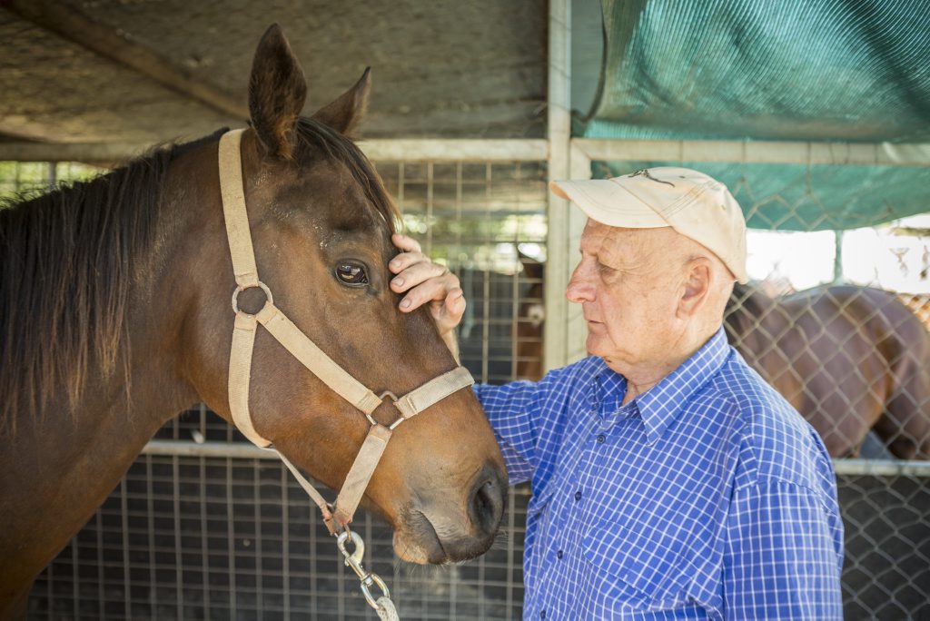 Trainer Hunter Kilner with horse Punjab Rocket. Photo Adam Hourigan / The Daily Examiner Trainer Hunter Kilner with horse Punjab Rocket. Photo Adam Hourigan / The Daily Examiner