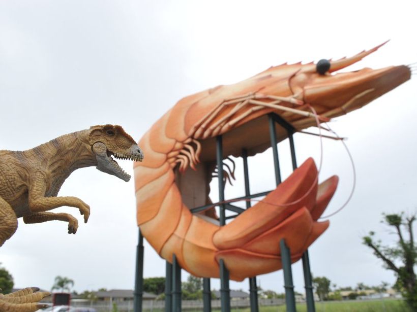 Little dinosaur tackles big prawn.