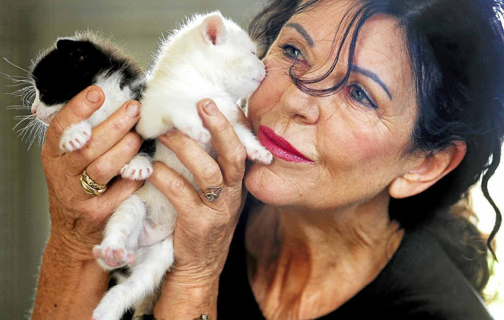 MORE THAN NINE LIVES: Barbara Steffensen, the CEO of Animal Rights and Rescue Service, is set to retire after 18 years spent saving thousands of abandoned animals. MORE THAN NINE LIVES: Barbara Steffensen, the CEO of Animal Rights and Rescue Service, is set to retire after 18 years spent saving thousands of abandoned animals.