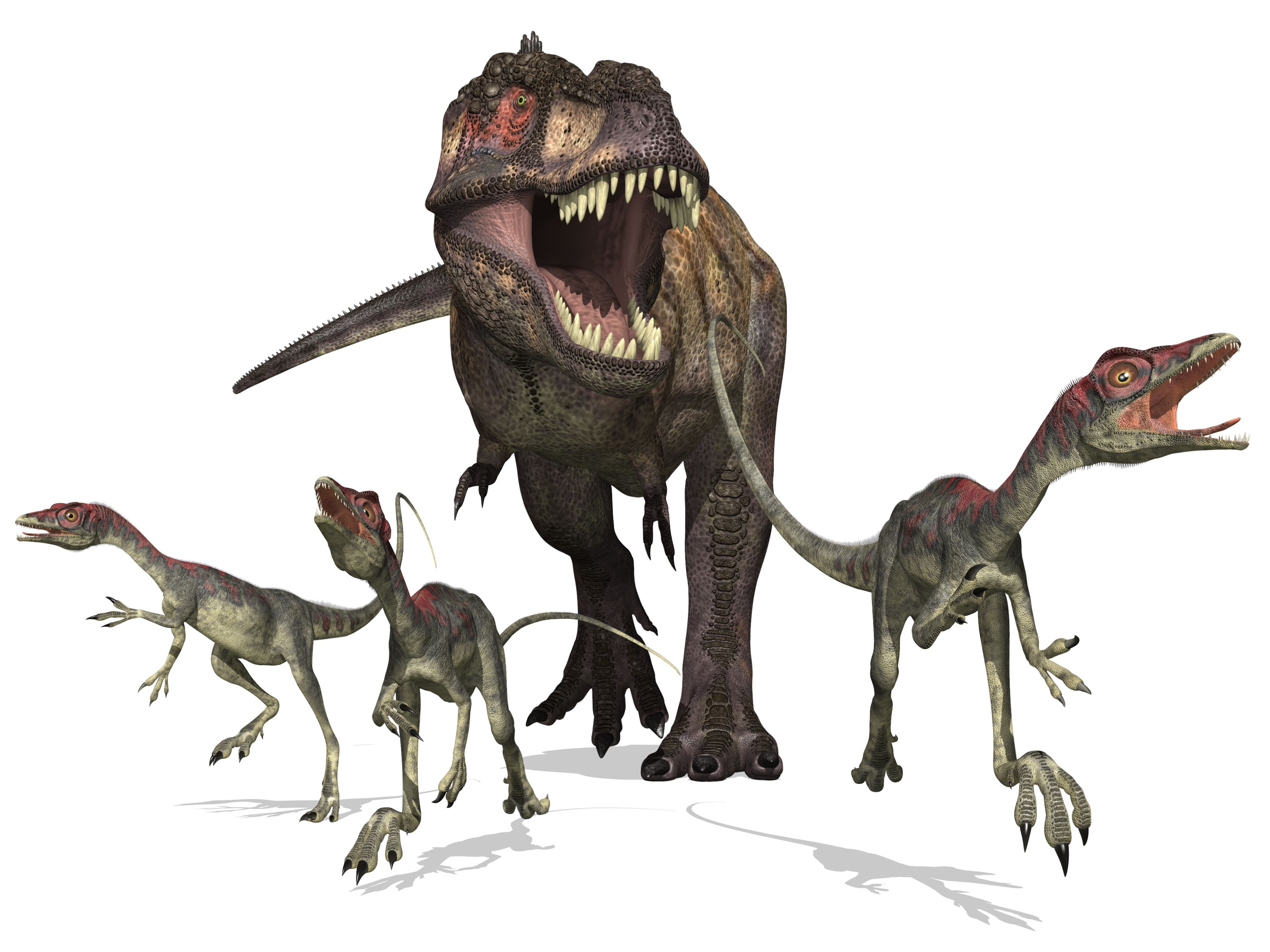 Dinosaurs on the loose. Dinosaurs on the loose.
