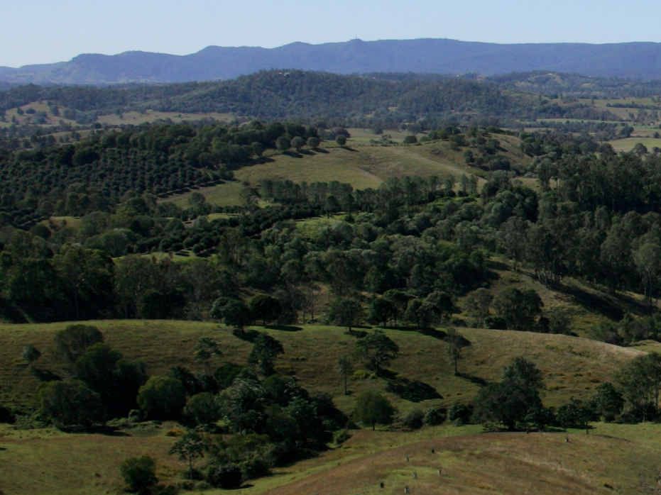GETTING WARMER: Mary Valley land sales are hotting up. GETTING WARMER: Mary Valley land sales are hotting up.