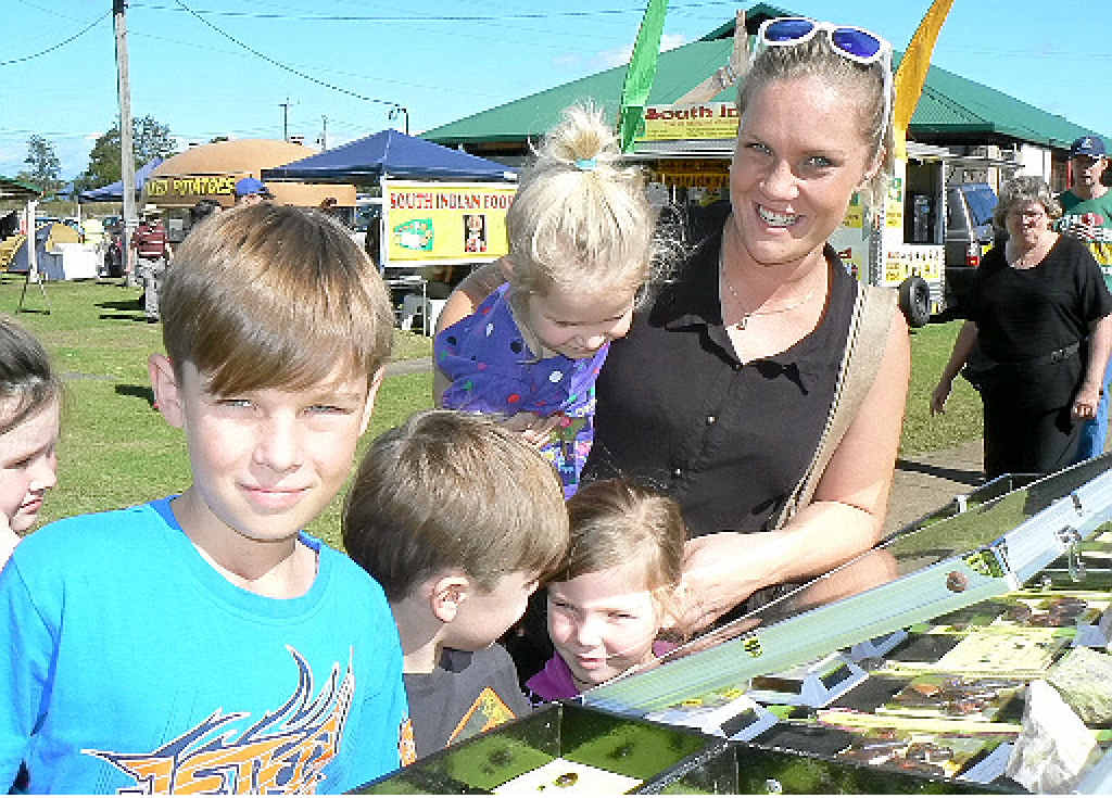 GEM OF A SHOW: The Lavis family of Lismore was enthralled by the stones on display at Gemfest. From left: Kydan, Dakoda, Taleya, Shayla and Sarah Lavis.