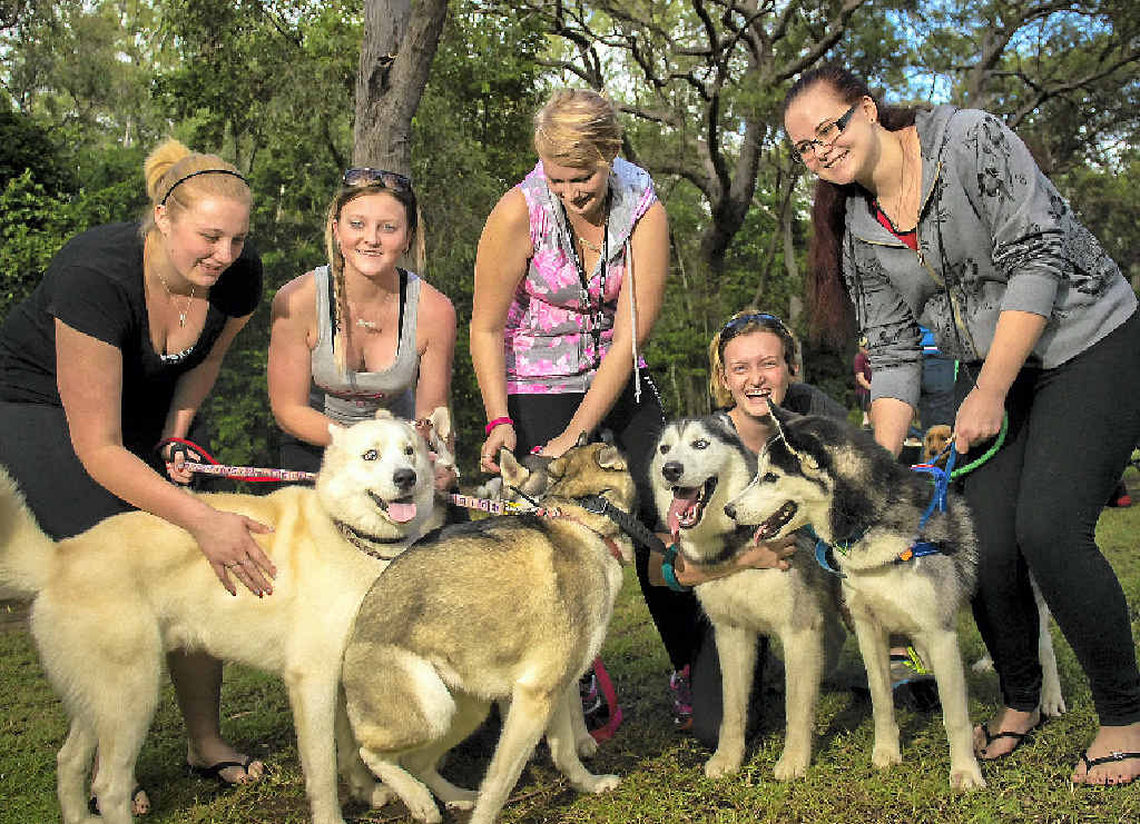 Bianca Campbell, Chloe Sawyer and their friends with dogs Kooper, Keira, Kaos, Hunter and Bella. Bianca Campbell, Chloe Sawyer and their friends with dogs Kooper, Keira, Kaos, Hunter and Bella.