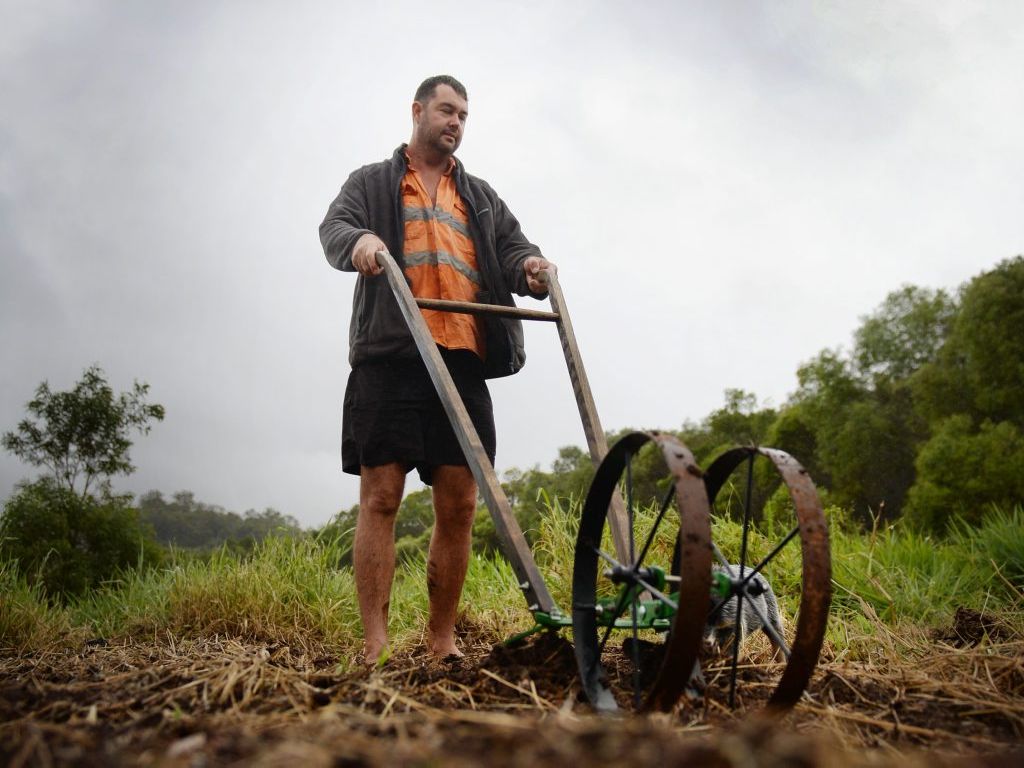 Organics farmer Richard Benson working in a field. Photo Allan Reinikka / The Morning Bulletin Organics farmer Richard Benson working in a field. Photo Allan Reinikka / The Morning Bulletin