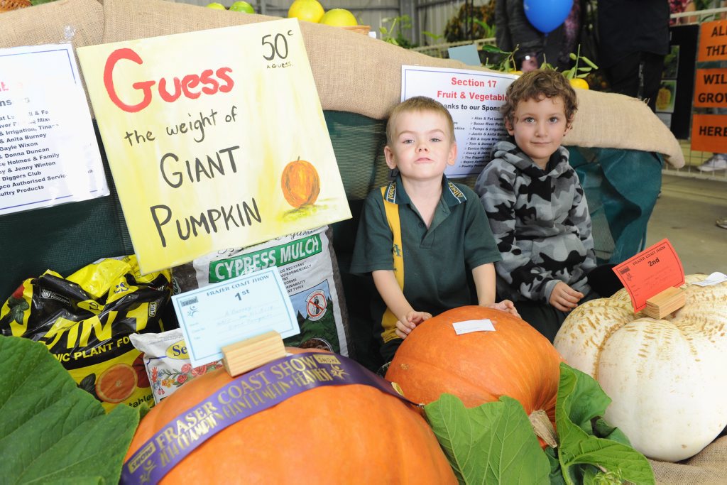 Fraser Coast Show - 5 yr olds (L) Kayden Curby and Zak Holt from Albert State School in amongst the giant pumpkins grown by Anton and Amie Burney. Fraser Coast Show - 5 yr olds (L) Kayden Curby and Zak Holt from Albert State School in amongst the giant pumpkins grown by Anton and Amie Burney.