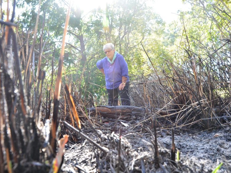 East Creek Park Defenders spokeswoman Jenny Wilson is wary of the motives behind a suspected arson attack on the frog habitat at Garnet Lehmann Park. East Creek Park Defenders spokeswoman Jenny Wilson is wary of the motives behind a suspected arson attack on the frog habitat at Garnet Lehmann Park.