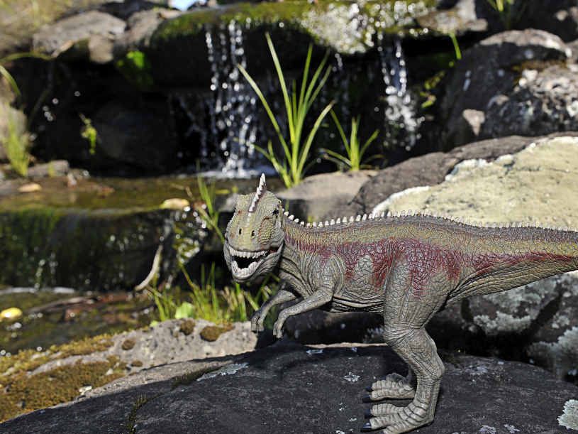 DINOSAUR POSTER: The Northern Star’s Dino Week kicks off today with a T-Rex poster inside.