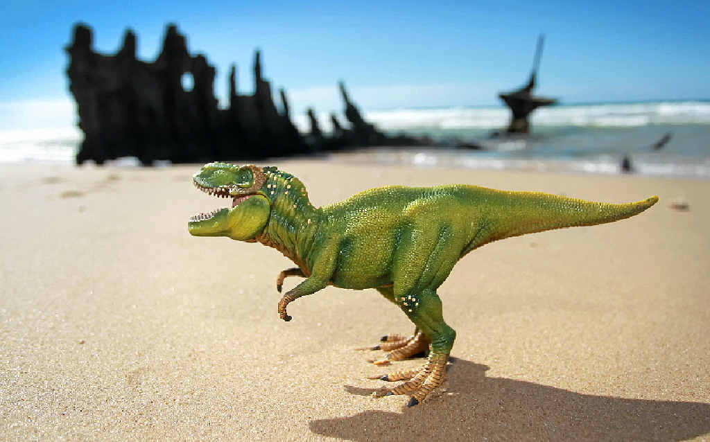 LEAPING LIZARDS: A wandering dinosaur visits the wreck of the SS Dicky at Dicky Beach, Caloundra. LEAPING LIZARDS: A wandering dinosaur visits the wreck of the SS Dicky at Dicky Beach, Caloundra.