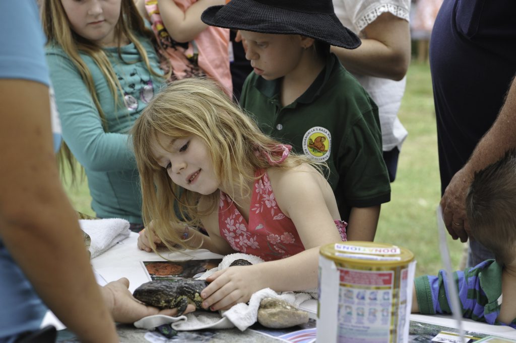Tarnie Evison, 6, with one of the lizards at Ecofest. Tarnie Evison, 6, with one of the lizards at Ecofest.
