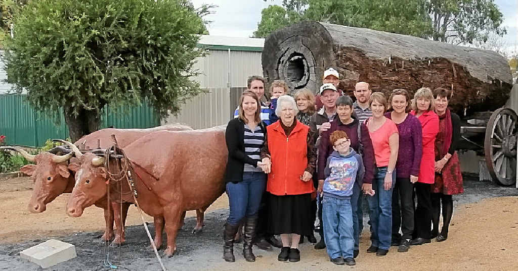 PROUD HISTORY: The Reis family members celebrate their connection to Killarney’s new bullocks monument. PROUD HISTORY: The Reis family members celebrate their connection to Killarney’s new bullocks monument.
