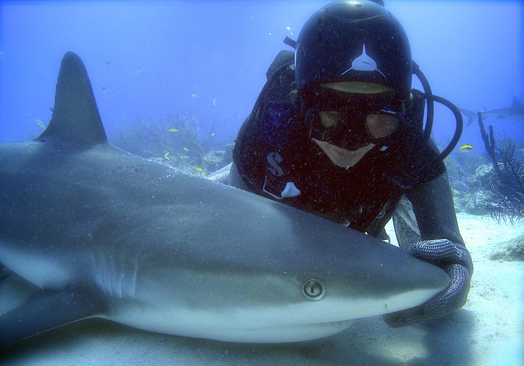 Madison Stewart with a Caribbean reef shark in 'tonic immobility' in Shark Girl. Madison Stewart with a Caribbean reef shark in 'tonic immobility' in Shark Girl.