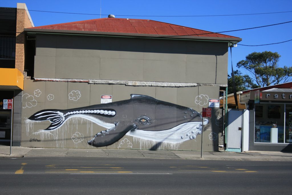 A whale mural has been painted by A whale mural has been painted by