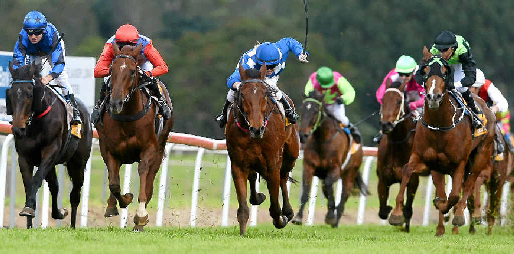 ABOVE: Red Gaze, second from left, ridden by Priscilla Schmidt, heads for a win in the Lismore Timezone Watchmakers Class 3 Handicap (2100m) at the Lismore Turf Club on Saturday. RIGHT: Schmidt brings the Stephen Lee-trained five-year-old back to scale after the win. ABOVE: Red Gaze, second from left, ridden by Priscilla Schmidt, heads for a win in the Lismore Timezone Watchmakers Class 3 Handicap (2100m) at the Lismore Turf Club on Saturday. RIGHT: Schmidt brings the Stephen Lee-trained five-year-old back to scale after the win.