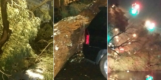 Damage photos sent from around Auckland city by New Zealand Herald readers this morning. Damage photos sent from around Auckland city by New Zealand Herald readers this morning.