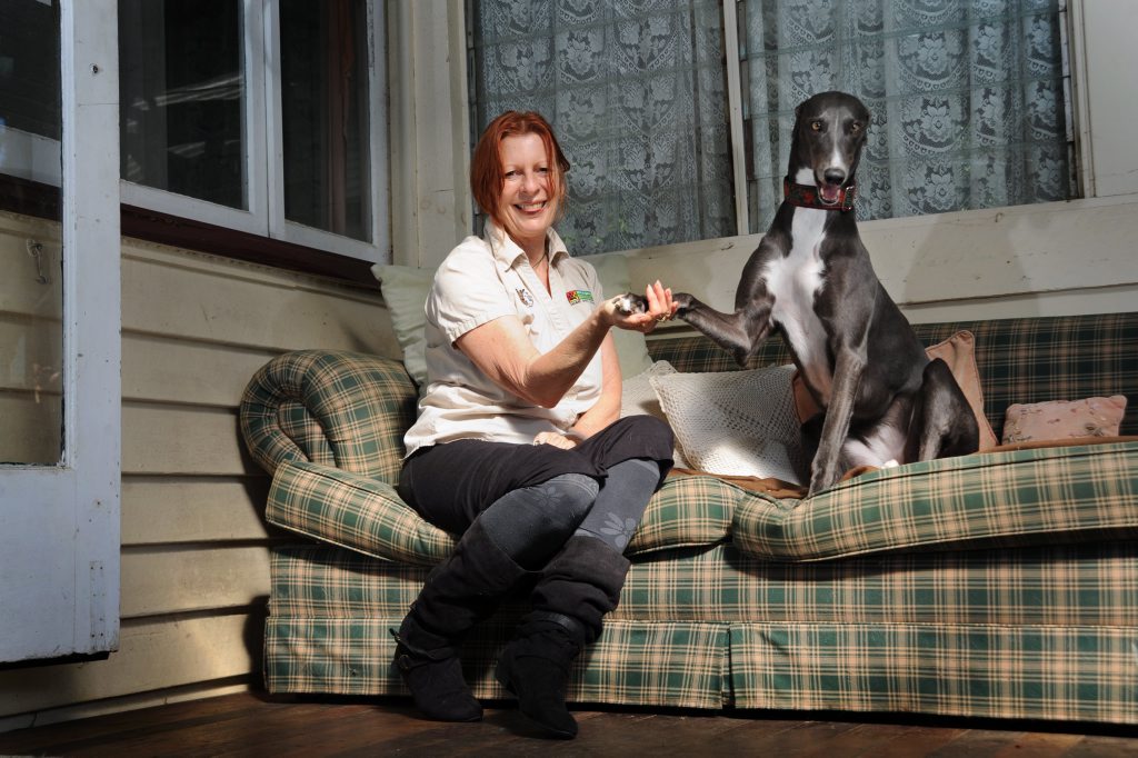 Faith Wild of Bark Busters is a behavioural expert and has started dance classes for dogs such as greyhound Lolly, 3. Photo: Iain Curry / Sunshine Coast Daily Faith Wild of Bark Busters is a behavioural expert and has started dance classes for dogs such as greyhound Lolly, 3. Photo: Iain Curry / Sunshine Coast Daily