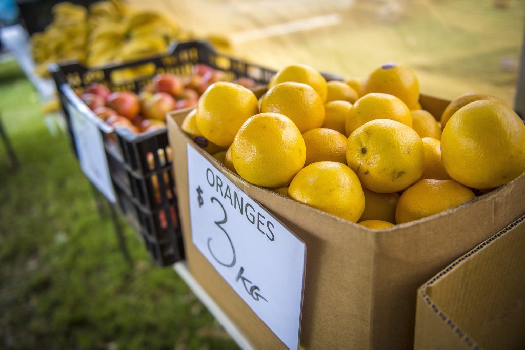 A ROADSIDE stall relying on an honesty system has suffered a blow after thieves cleaned it out of produce without paying. A ROADSIDE stall relying on an honesty system has suffered a blow after thieves cleaned it out of produce without paying.