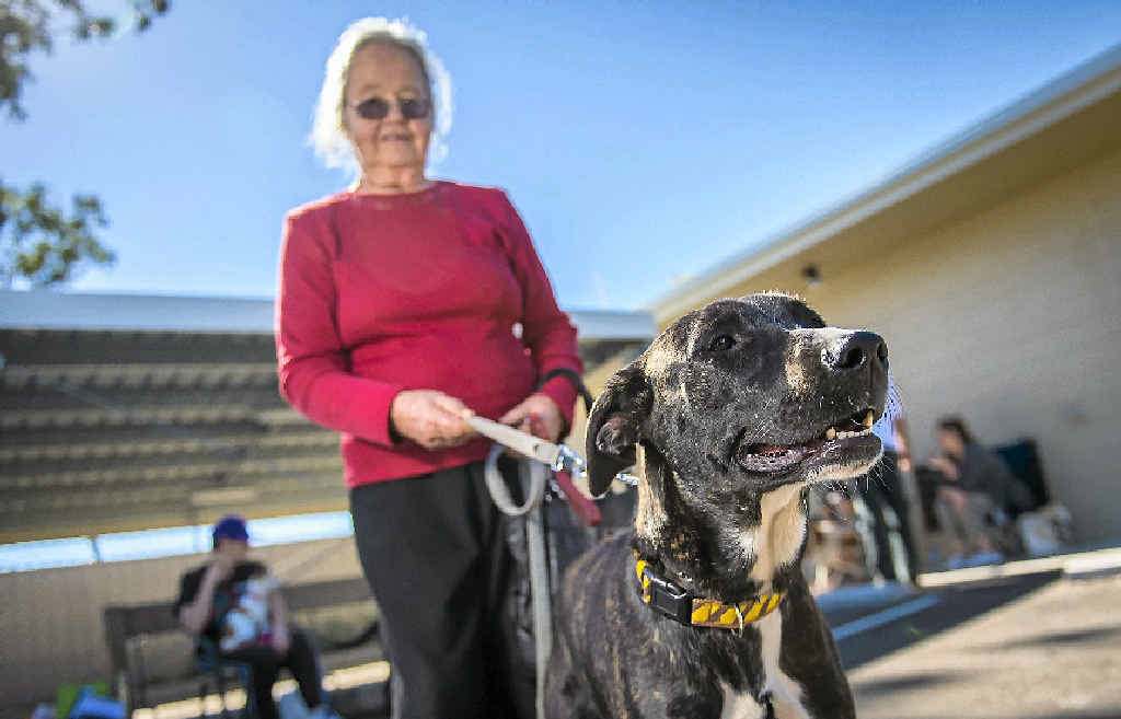 Liselotte Peyer couldn’t wait to take home 18-month-old Aggi from the pet adoption day. Liselotte Peyer couldn’t wait to take home 18-month-old Aggi from the pet adoption day.