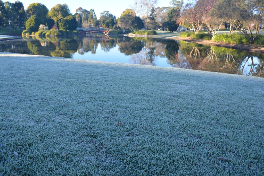 Frost on the way to work Photo Michael Roser / The Chronicle Frost on the way to work Photo Michael Roser / The Chronicle