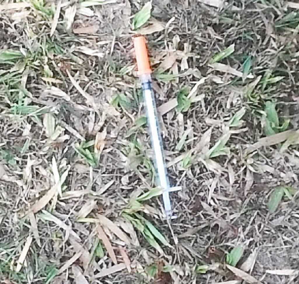 The needle found in the park in Maryborough. The needle found in the park in Maryborough.