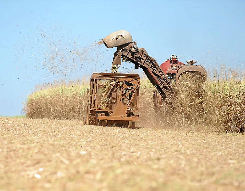CANE SEASON: Growers and contractors have been warned to take care near powerlines as the harvest gets underway. CANE SEASON: Growers and contractors have been warned to take care near powerlines as the harvest gets underway.