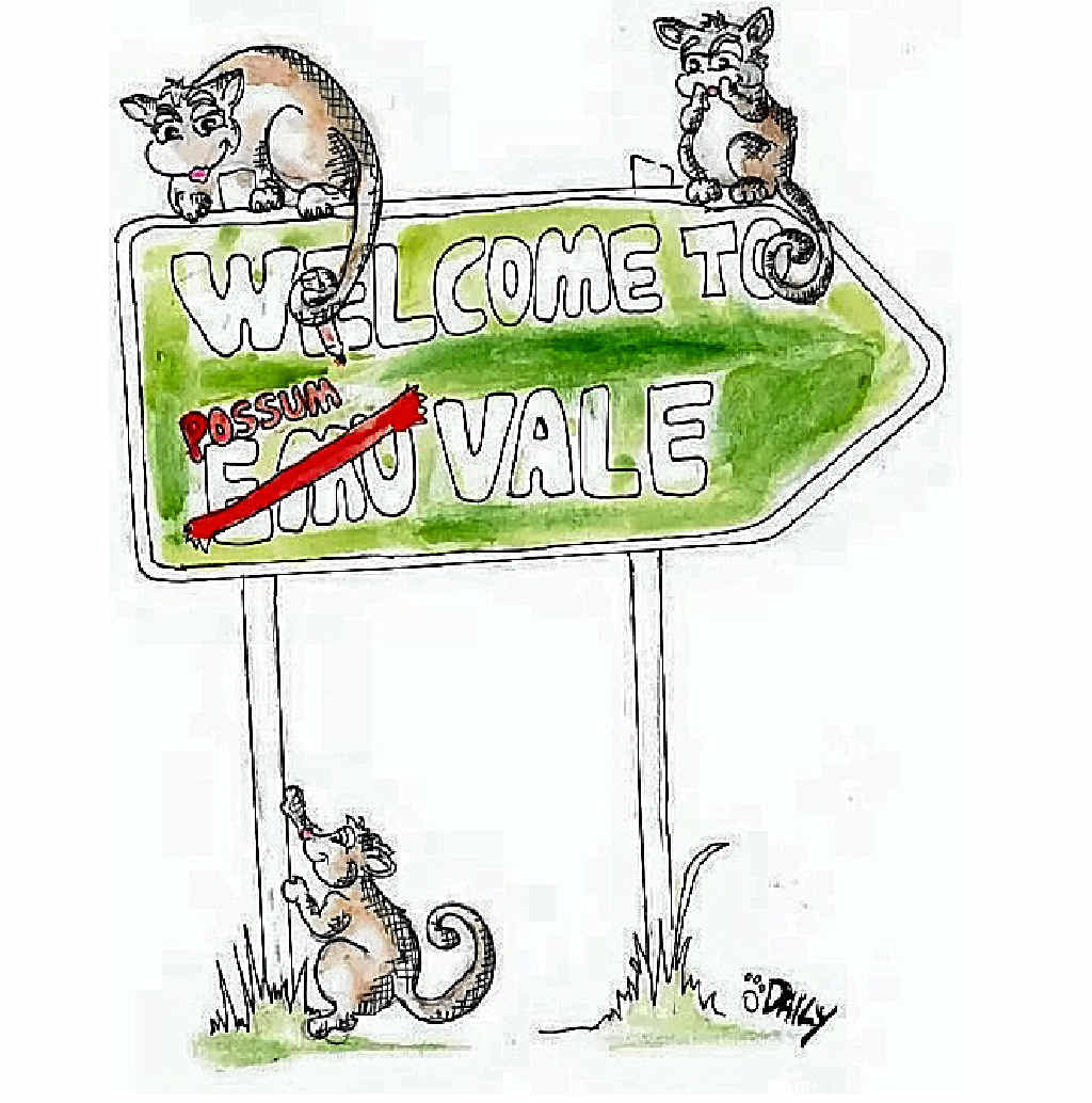 POSSUM INVASION: The residents of Emu Vale have been left without a solution to their possum problem. POSSUM INVASION: The residents of Emu Vale have been left without a solution to their possum problem.