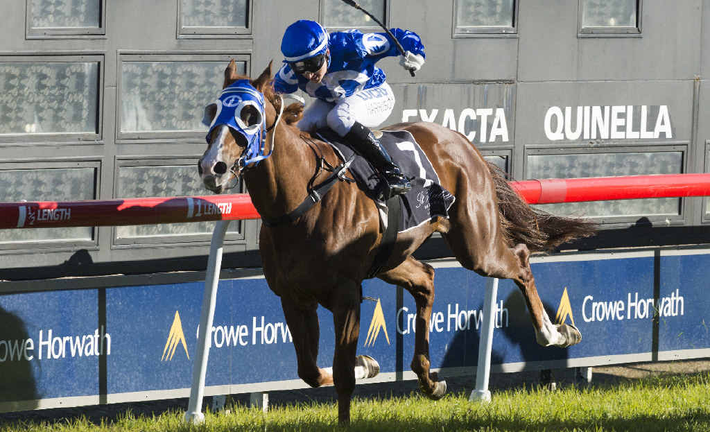 WRITING ON THE WALL: Tegan Harrison takes Royal Scribe to the line to win the Grafton Guineas. PHOTO: ADAM HOURIGAN WRITING ON THE WALL: Tegan Harrison takes Royal Scribe to the line to win the Grafton Guineas. PHOTO: ADAM HOURIGAN