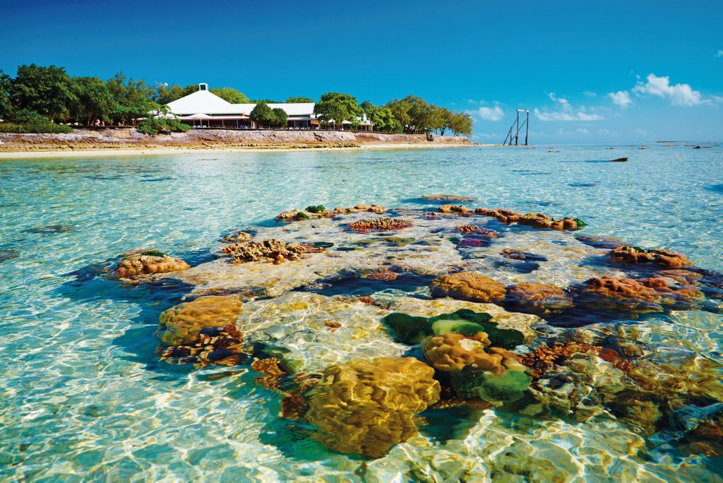 Reef off Heron Island - courtesy of GAPDL Reef off Heron Island - courtesy of GAPDL