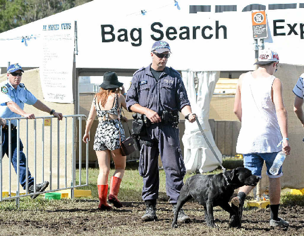 SHARP NOSES: Police sniffer dogs at the entrance to the 2013 Splendour In The Grass. SHARP NOSES: Police sniffer dogs at the entrance to the 2013 Splendour In The Grass.