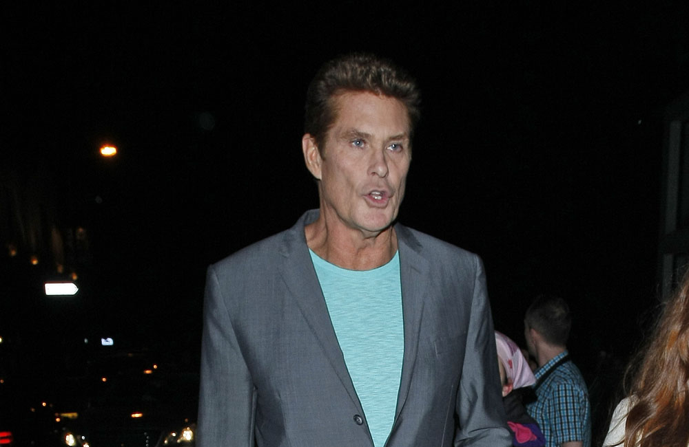 David Hasselhoff David Hasselhoff
