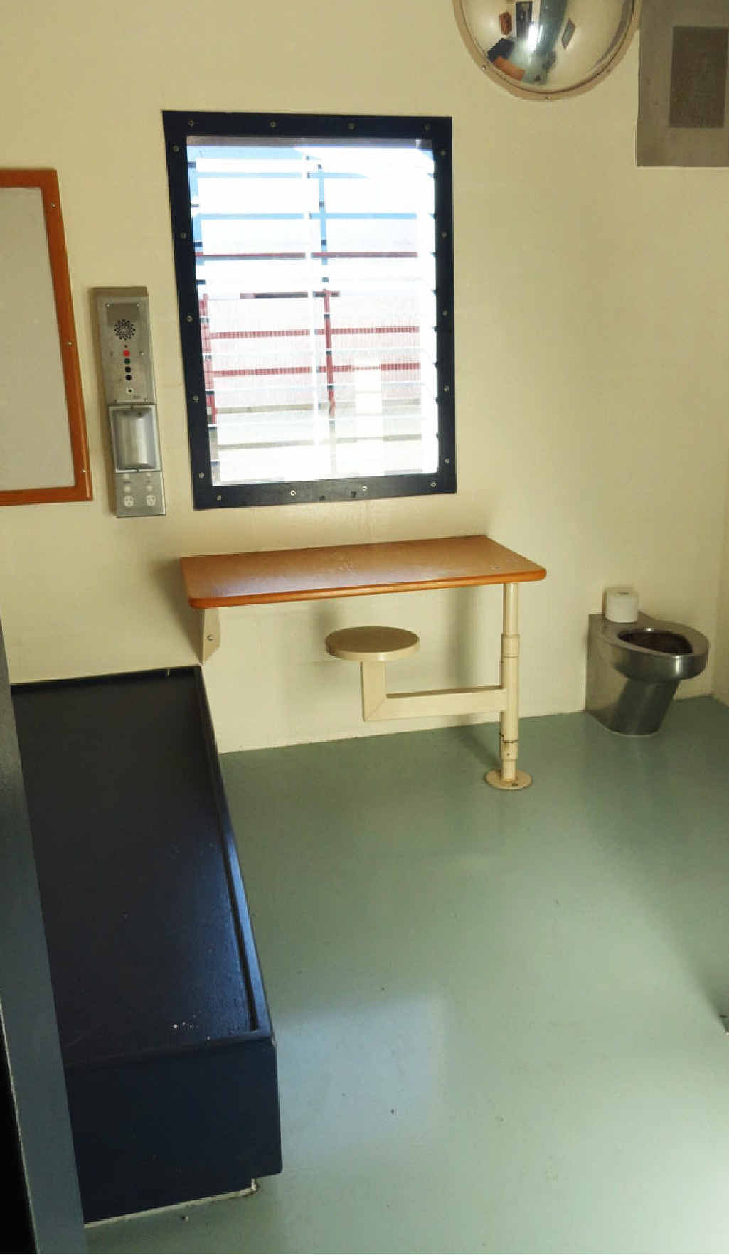 NO FRILLS: Individual cells are small and basic.