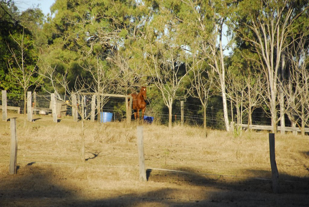 This Brendonna Rd property in Calliope, near Gladstone, has been quarantined. This Brendonna Rd property in Calliope, near Gladstone, has been quarantined.