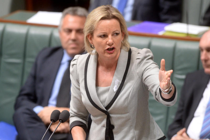 Federal Health Minister, Sussan Ley has announced a further 12 months funding for mental health services. Federal Health Minister, Sussan Ley has announced a further 12 months funding for mental health services.