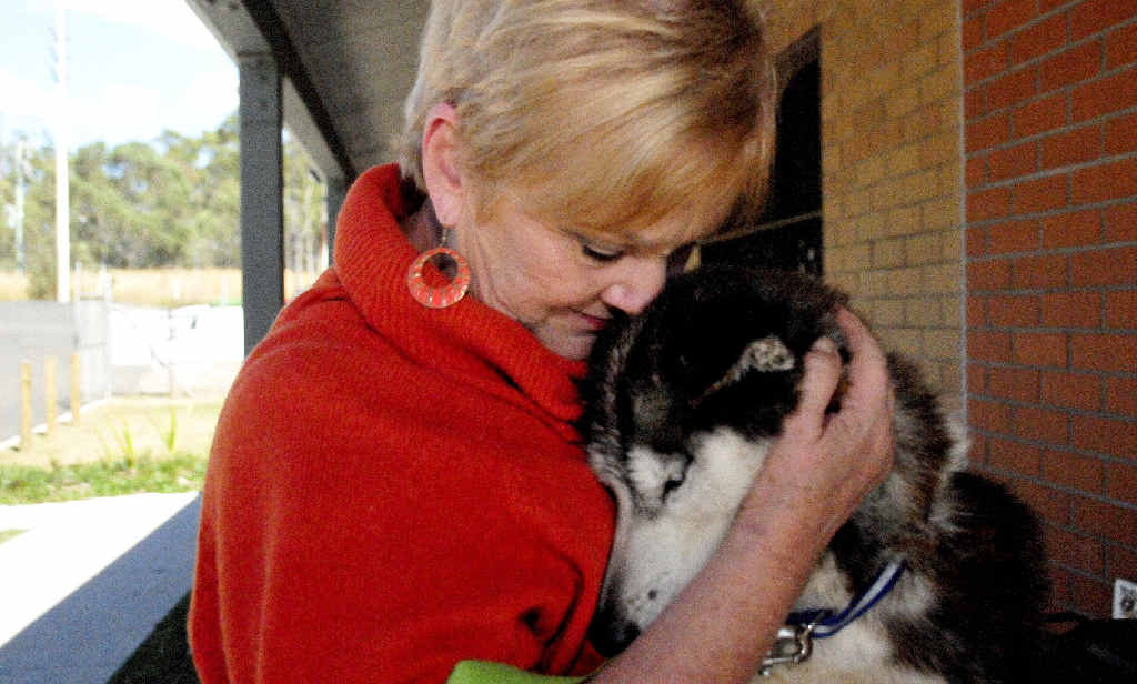 Friends of RSPCA president Judy Whicker gives the emaciated husky some tender loving care. Friends of RSPCA president Judy Whicker gives the emaciated husky some tender loving care.