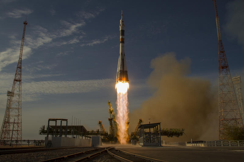 The five geckos on the Foton-M4 - four female and one male - were launched into space for a 60-day flight to find out about the effects of weightlessness on the creatures' sex lives. The five geckos on the Foton-M4 - four female and one male - were launched into space for a 60-day flight to find out about the effects of weightlessness on the creatures' sex lives.
