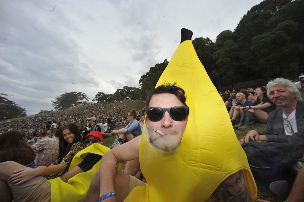 Image for sale: Splendour in the Grass 2014 was a great success with festival goers getting into the spirit of the three day long festival held at Byron Bay. Photo Marc Stapelberg / The Northern Star